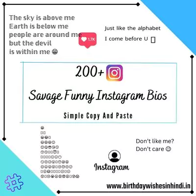 Savage Funny Instagram Bios