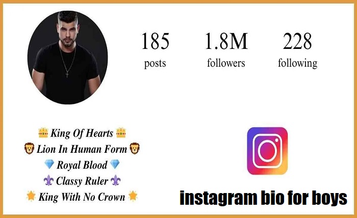 instagram bio for boys