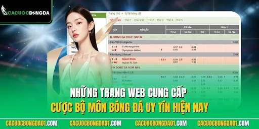Online Gaming